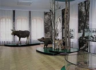 Вкус и величие: Полтава + Лубны – фото 33