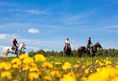 Кінна прогулянка по Пущі-Водиці – фото 18