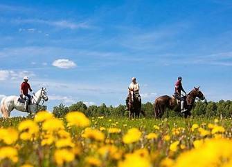 Кінна прогулянка по Пущі-Водиці – фото 11
