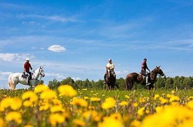 Кінна прогулянка по Пущі-Водиці – фото 4