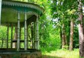 Кінна прогулянка по Пущі-Водиці – фото 21
