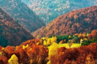 Тур «Файные Карпаты» – фото 11