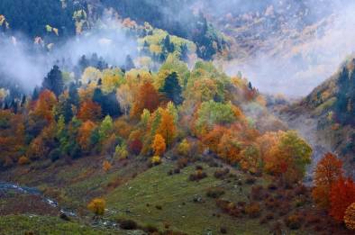 Тур «Файные Карпаты» – фото 14