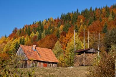 Тур «Файные Карпаты» – фото 15
