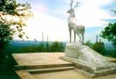 Лисичанськ – фото 6