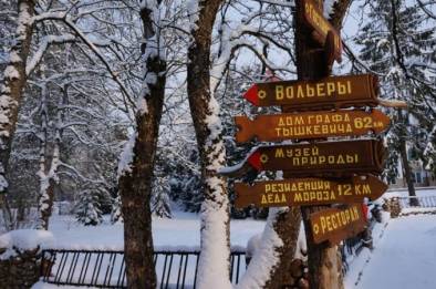 Беловежская сказка – фото 25