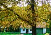 Рідківці – фото 2