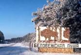 Беловежская Пуща – фото 11